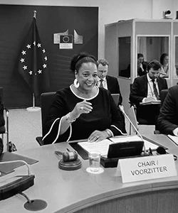 Voorzitter tijdens vergadering met EU-vlag op achtergrond